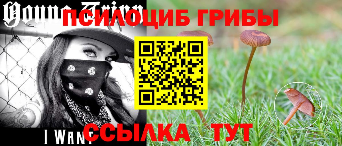 Галлюциногенные грибы прущие грибы  Вход с VPN  Карпинск  Галлюциногенные грибы мухоморы 
